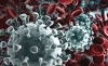 Coronavirus, comunicazione sui viaggi di istruzione